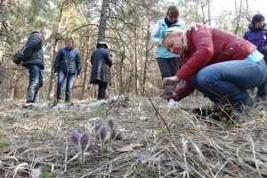 Цвітіння сон-трави, Міжрічинський регіональний ландшафтний парк